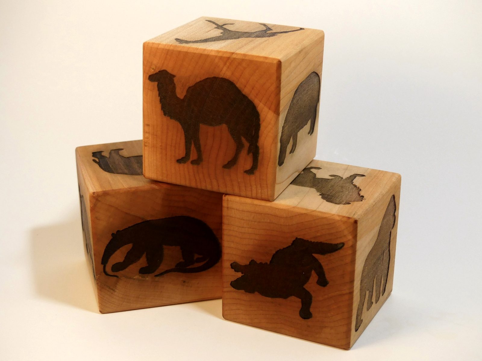 Zoo Blocks