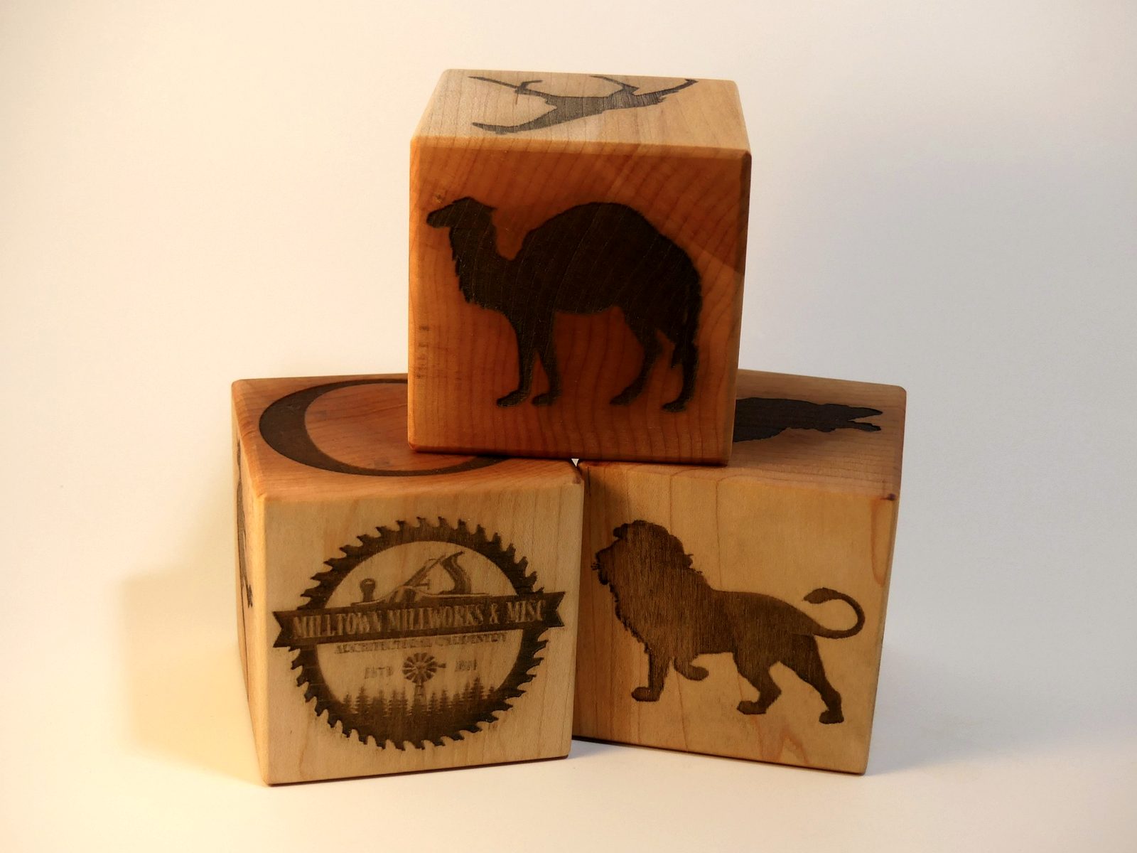 Zoo Blocks