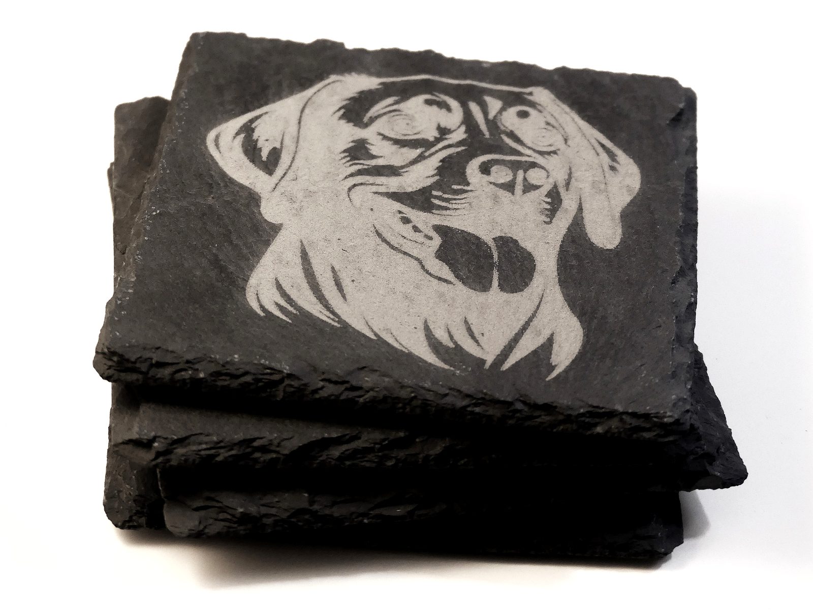 Lab Slate Coasters