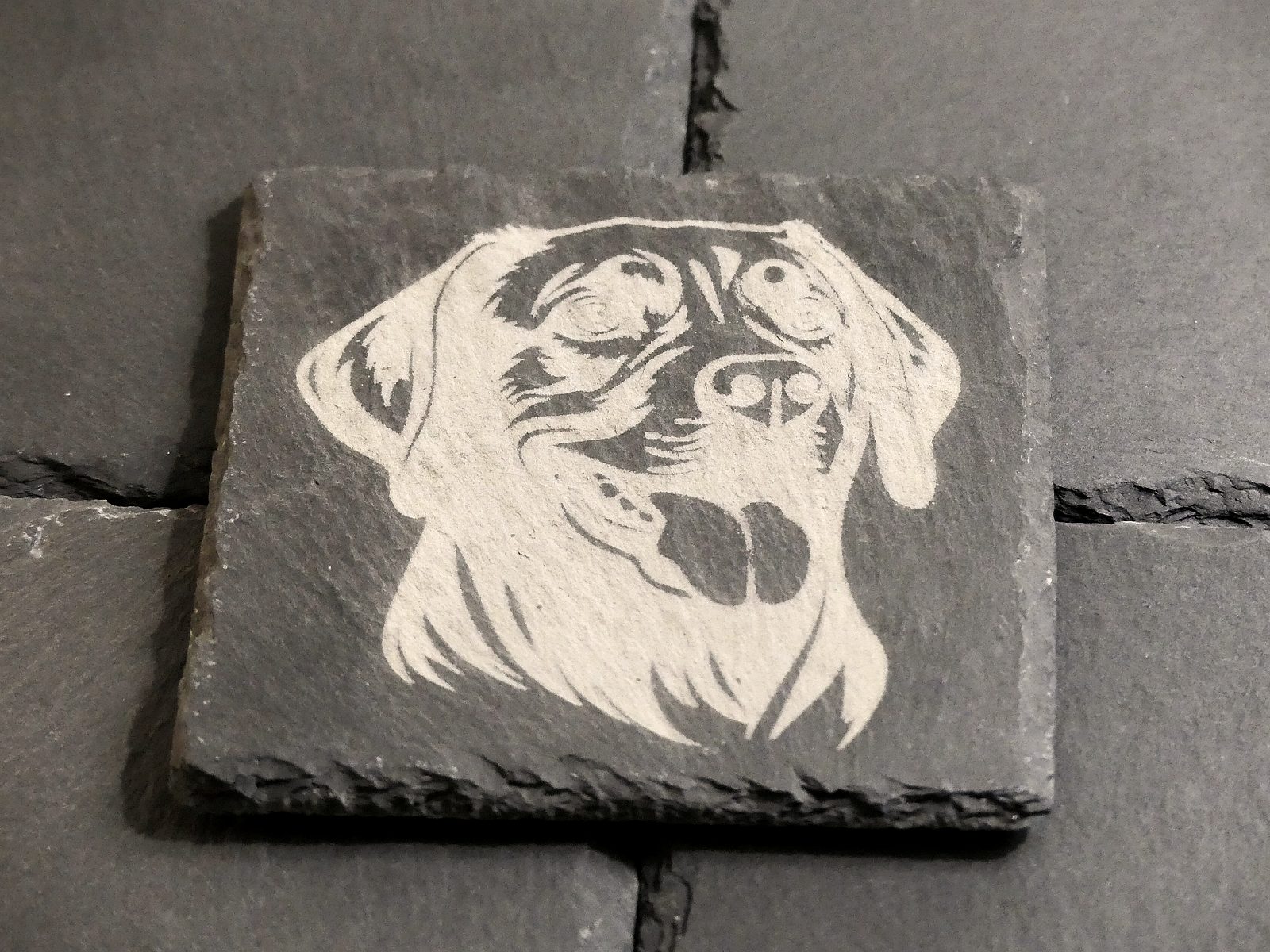 Lab Slate Coasters