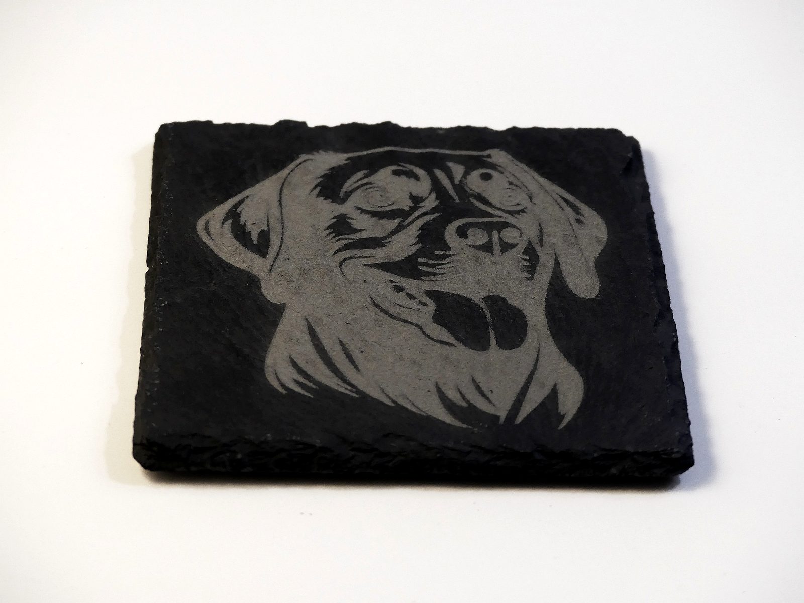 Lab Slate Coasters