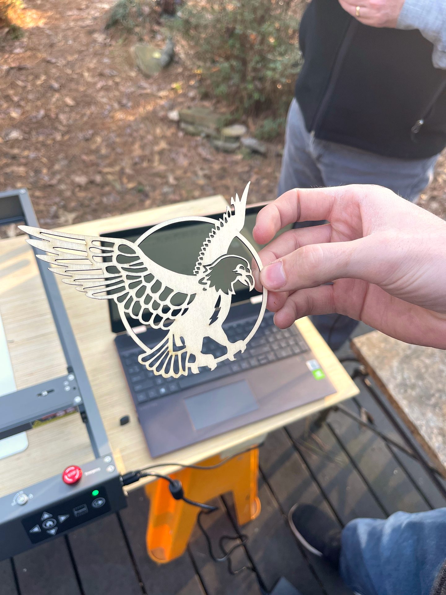 Eagle Laser-Cut Silhouette
